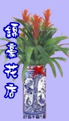 鳳梨花