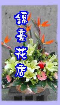 鮮盆花