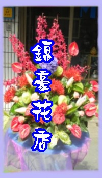 講台盆花