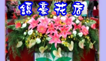 講台盆花
