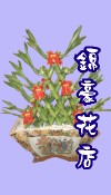盆栽 開幕盆栽 桌上型盆栽 落地型盆栽 發財樹盆栽 開運竹盆栽 蝴蝶蘭盆栽 金錢樹盆栽 帝王葉盆栽 綠巨人盆栽 觀葉盆栽