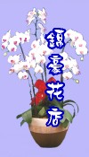 �ԲӸ��